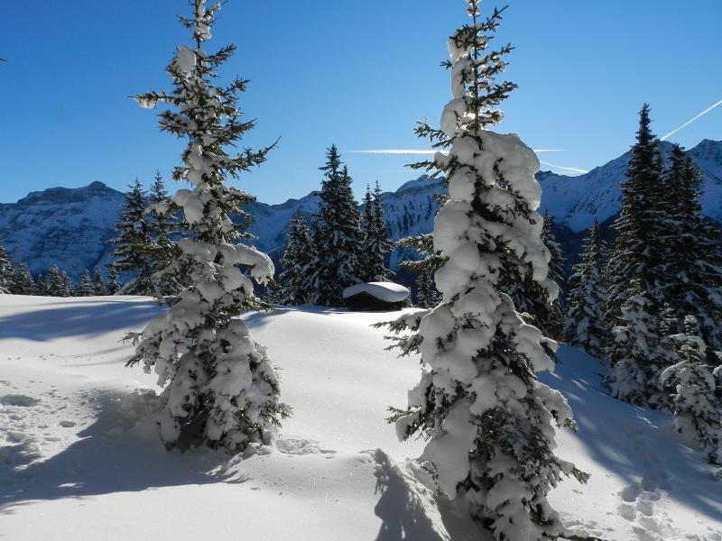 Apartment Peer Neustift im Stubaital Kültér fotó