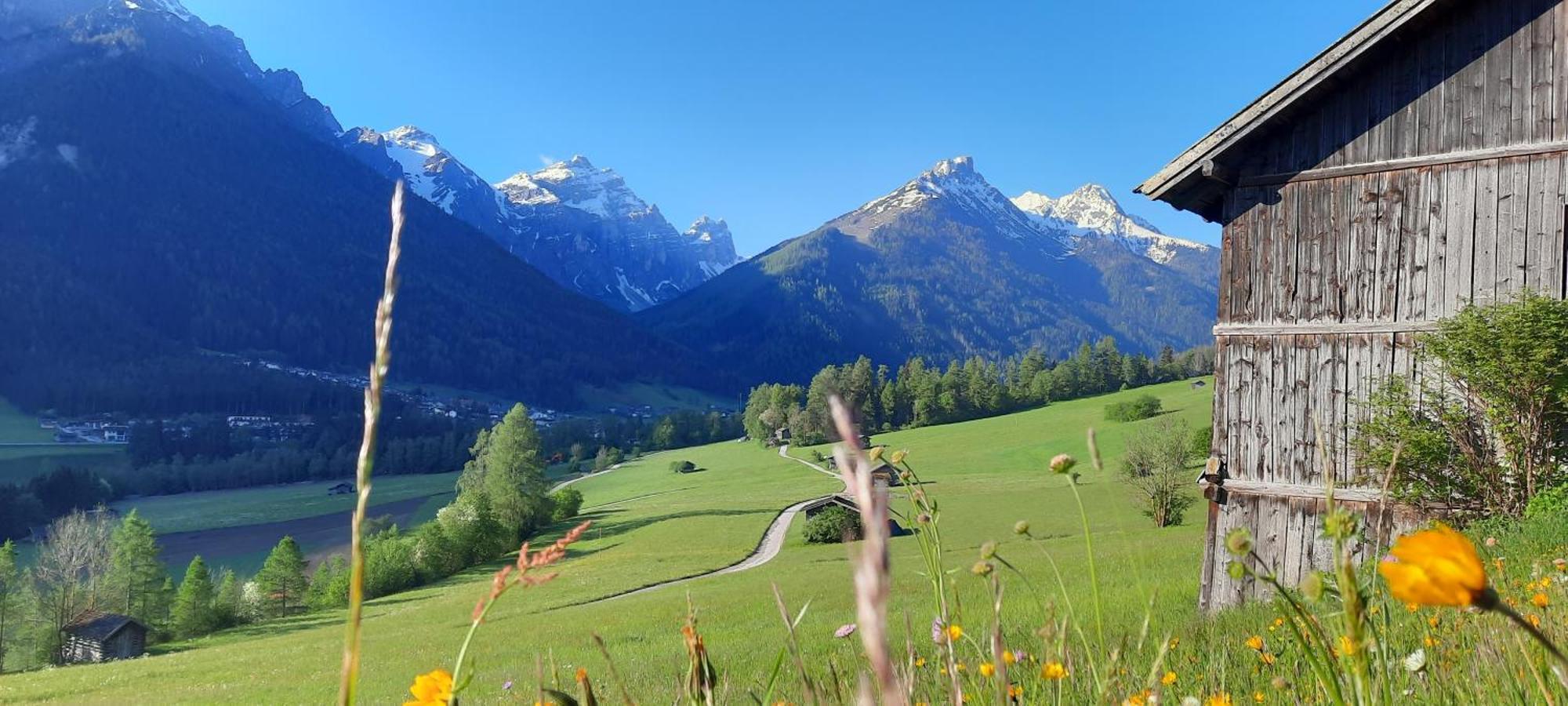 Apartment Peer Neustift im Stubaital Kültér fotó