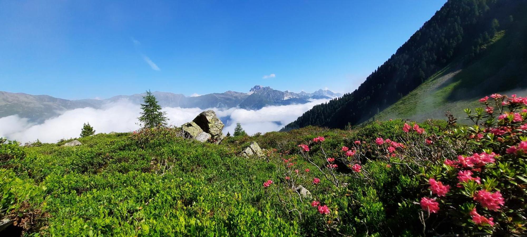 Apartment Peer Neustift im Stubaital Kültér fotó