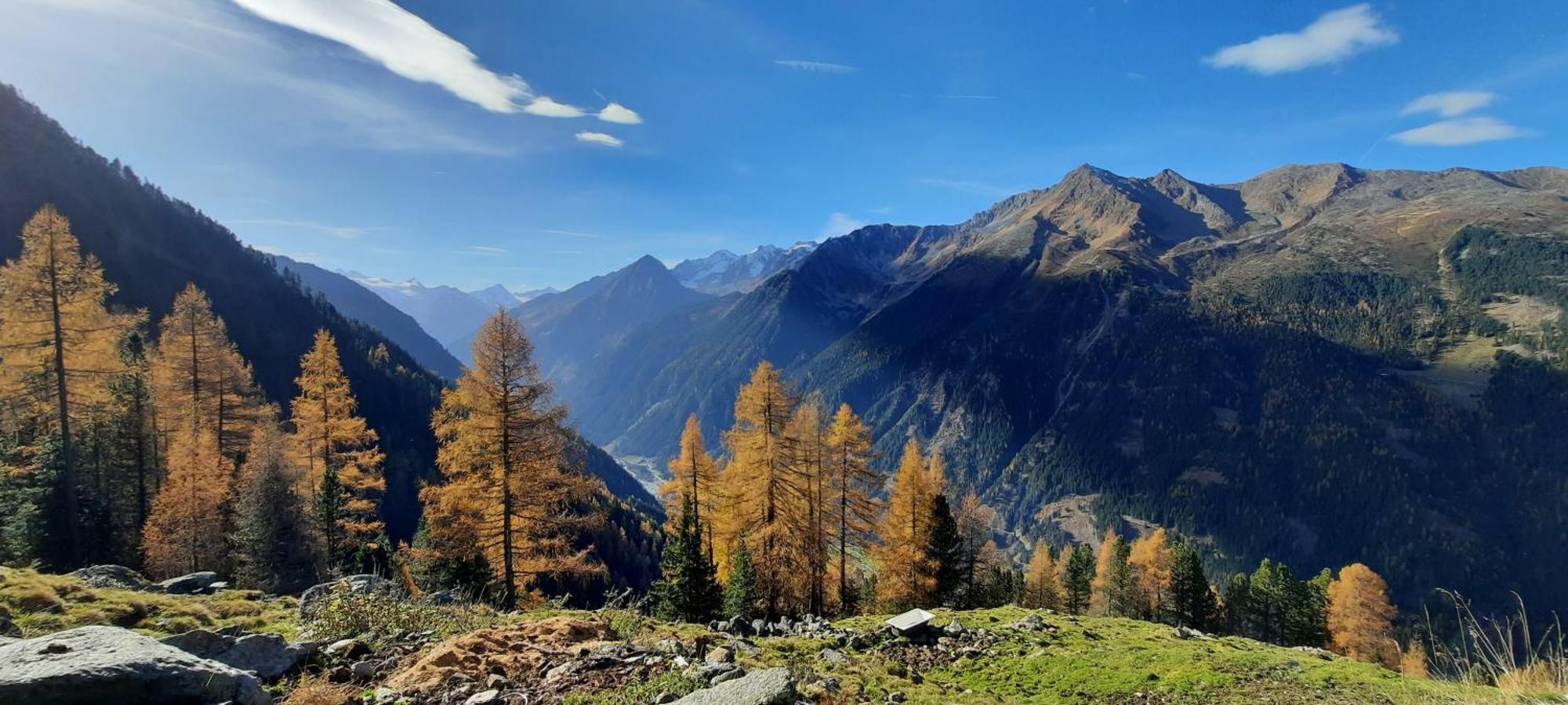 Apartment Peer Neustift im Stubaital Kültér fotó